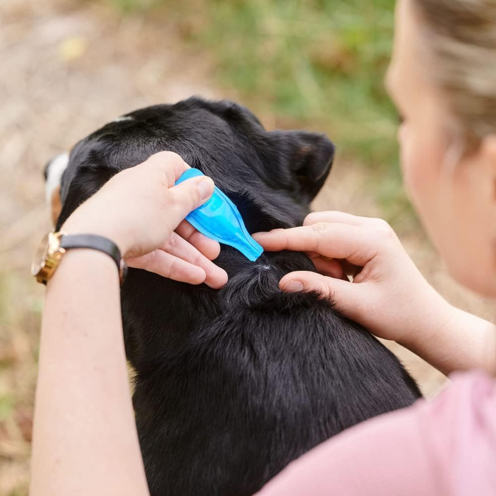 Beaphar | FIPROtec Spot-On for Extra Large Dogs (40–60kg) | Kills Fleas & Ticks | Vet Strength Treatment | 4 Pipettes