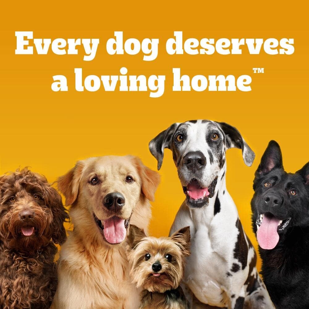 Pedigree Biscrok Original 10 kg Snacks, Dog Treats Gravy Bones Biscuits Dog Treats, Megapack