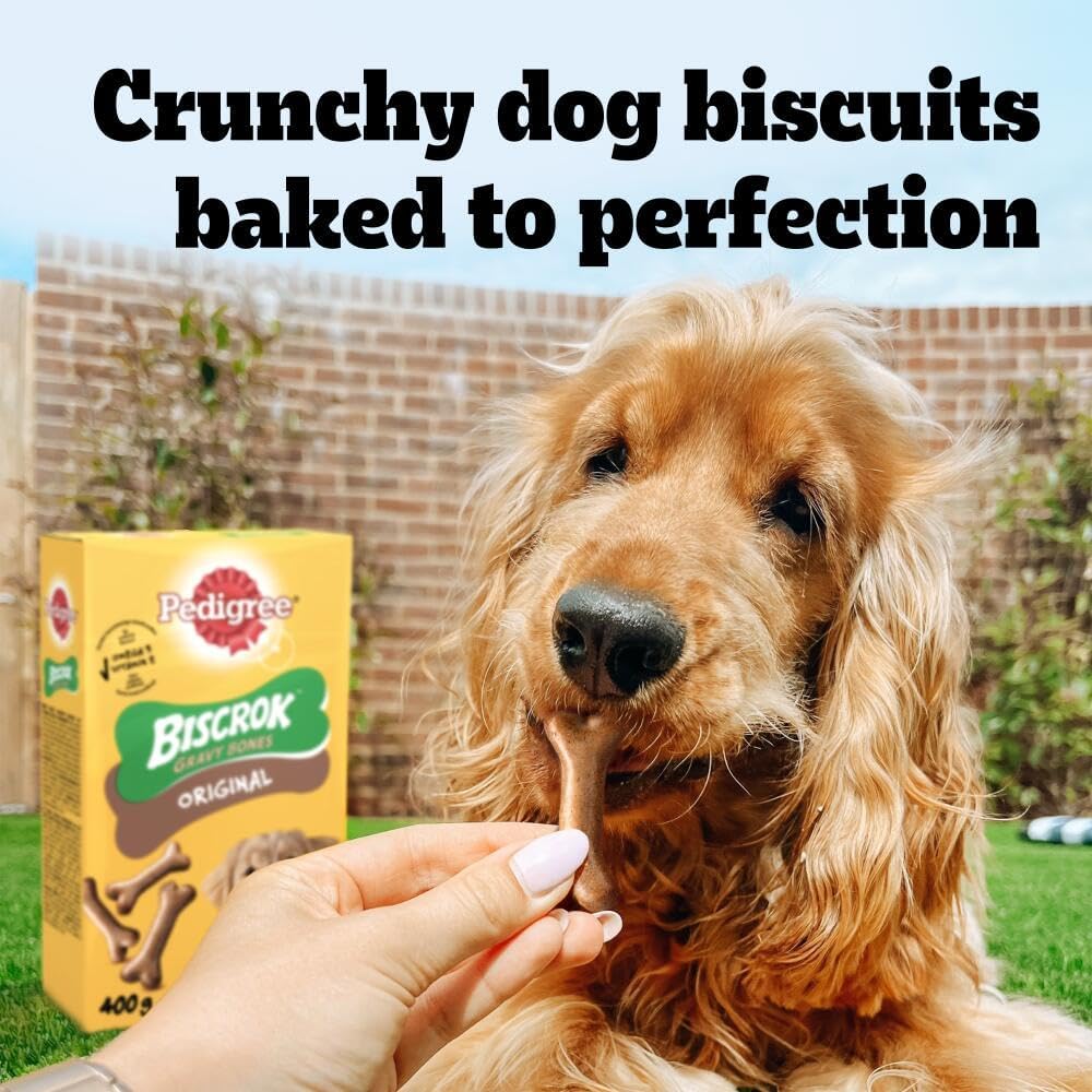 Pedigree Biscrok Original 10 kg Snacks, Dog Treats Gravy Bones Biscuits Dog Treats, Megapack