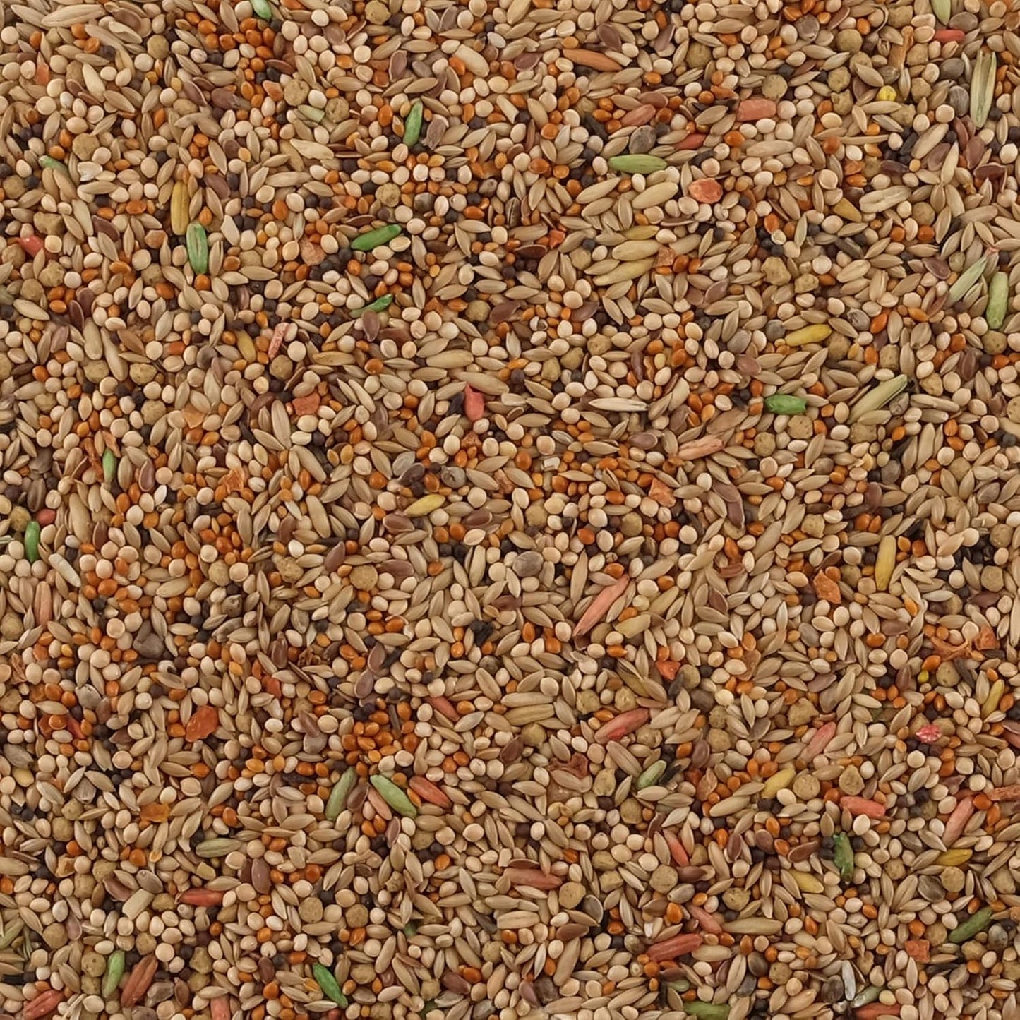 Living World Premium Mix For Budgies, 908 g (2 lb)