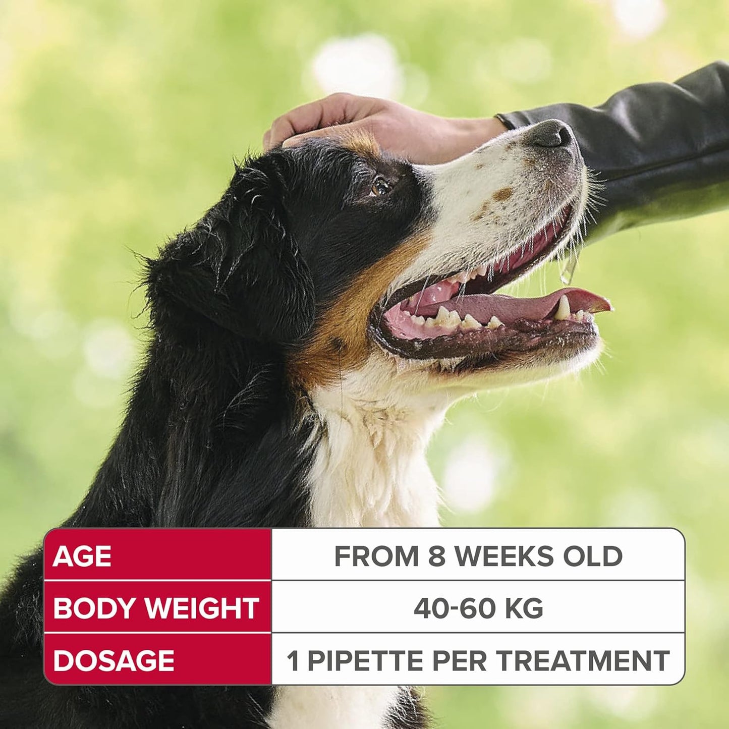 Beaphar | FIPROtec Spot-On for Extra Large Dogs (40–60kg) | Kills Fleas & Ticks | Vet Strength Treatment | 4 Pipettes