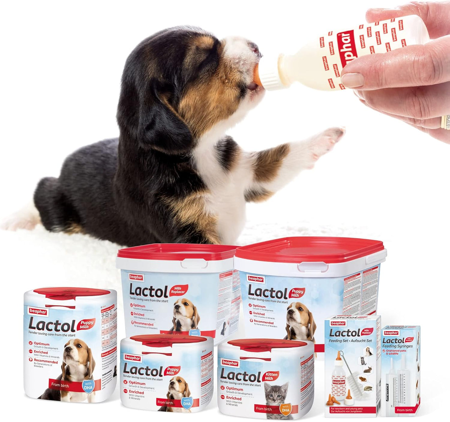 Beaphar | Lactol Feeding Set Accessories | For use with Milk Replacer | Helps feed New-born & Weaning Kittens, Puppies & Small Animals | Pack Contains 1 Bottle, 6 Teats & 1 Cleaning Brush