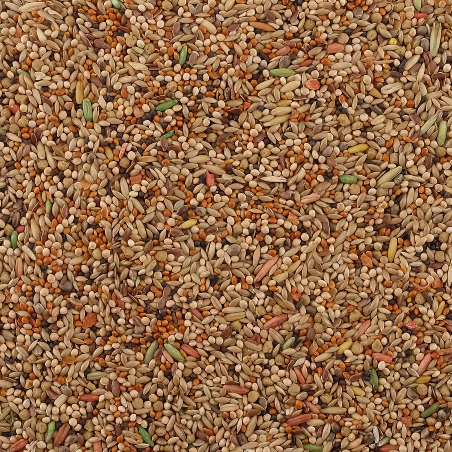 Living World Premium Mix For Budgies, 908 g (2 lb)